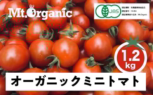 【先行予約 令和8年産】オーガニック ミニトマト 約1.2kg 有機JAS認証 syun1 令和8年産 トマト 飛騨市