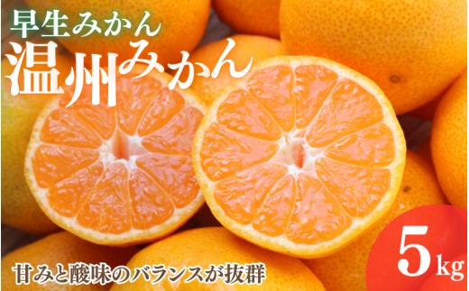 【2026年分先行予約】早生みかん 温州みかん　5kg【11月中旬以降発送予定】 / 和歌山県 田辺市 みかん 早生みかん うんしゅうみかん 柑橘【mrn008-3】