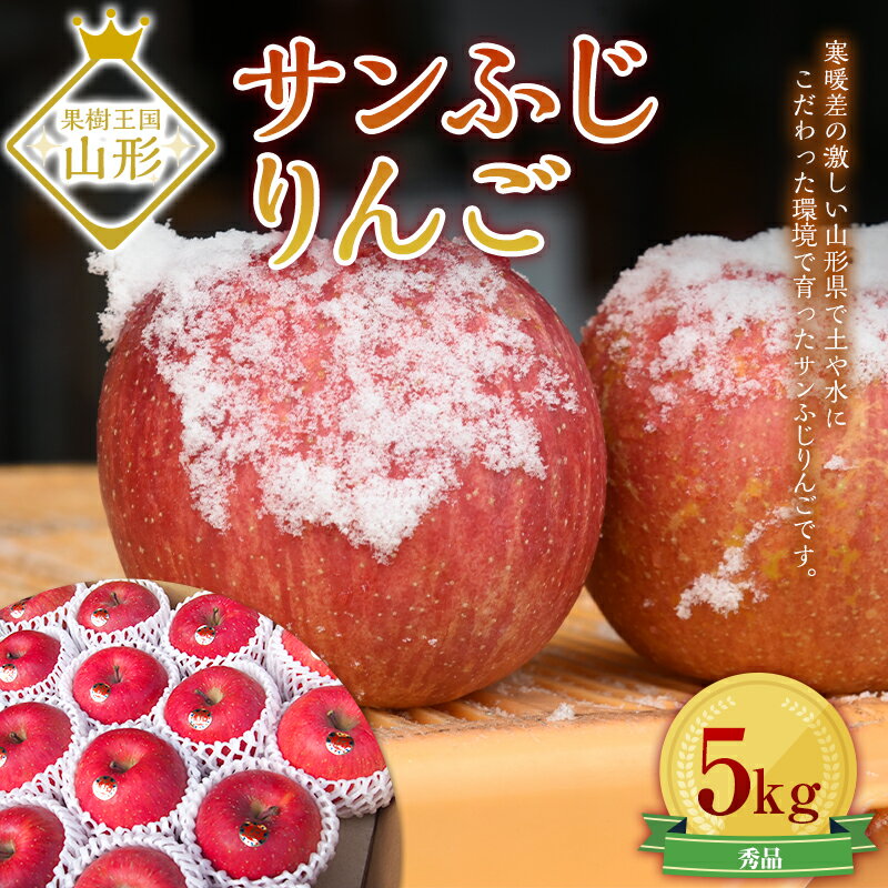 【ふるさと納税】 【先行予約】サンふじりんご 5kg (16～20玉) ギフト箱入り 山形県産 《2026年11月中旬から発送開始》 りんご リンゴ 林檎 デザート フルーツ 果物 くだもの 果実 食品 山形県 FSY-0196