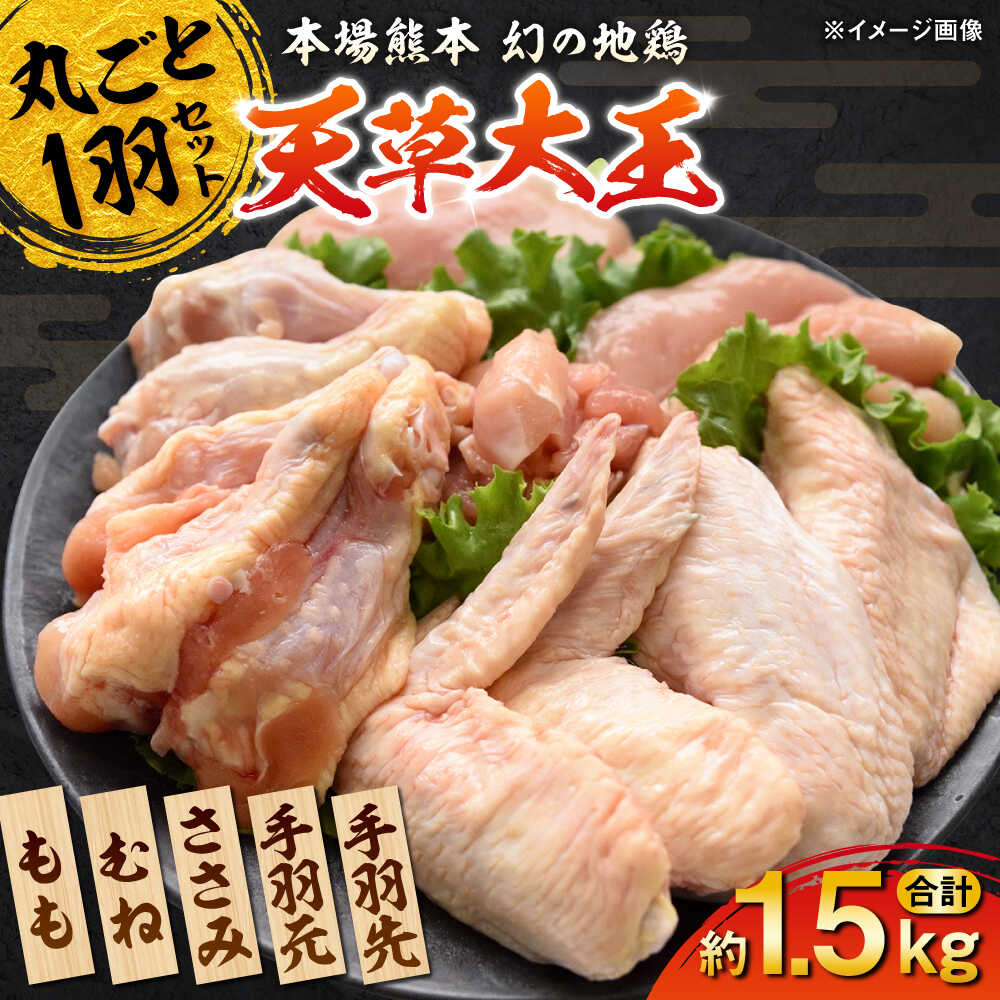 【ふるさと納税】天草大王 1羽まるごとセット 計約1.5kg 【一般社団法人クラッシーノこうし】[AYAB011] 鶏肉 お肉 料理 まるごと 天草大王セット あまくさだいおう 1羽 もも むね ささみ 手羽元 手羽先 鍋 焼き鳥 唐揚げ 贈答用 ギフト 家庭用 熊本県 合志市 送料無料