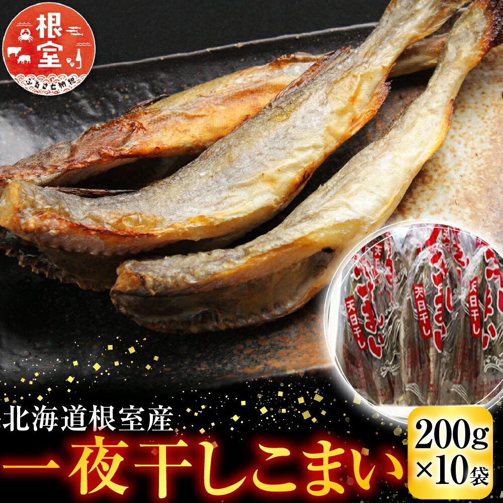 【ふるさと納税】【12/31決済分まで1月中配送】 [北海道根室産] 一夜干しこまい 200g × 10 袋 コマイ 氷下魚 カンカイ さかな 魚 サカナ 干物 珍味 おつまみ 生干し 北海道 根室市 ふるさと納税 A-30012
