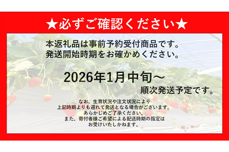 【ふるなび限定】【新農場オープン記念】【先行受付 2026年1月より発送】恋みのり(約280g×4P) K100018 FN-Limited-PR