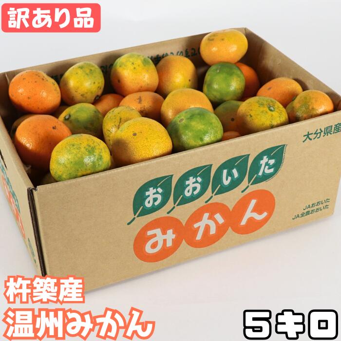 【ふるさと納税】【訳あり品】杵築産 温州みかん 5kg ／ みかん 柑橘類 訳あり 5kg 温州みかん フルーツ ＜132-016＞
