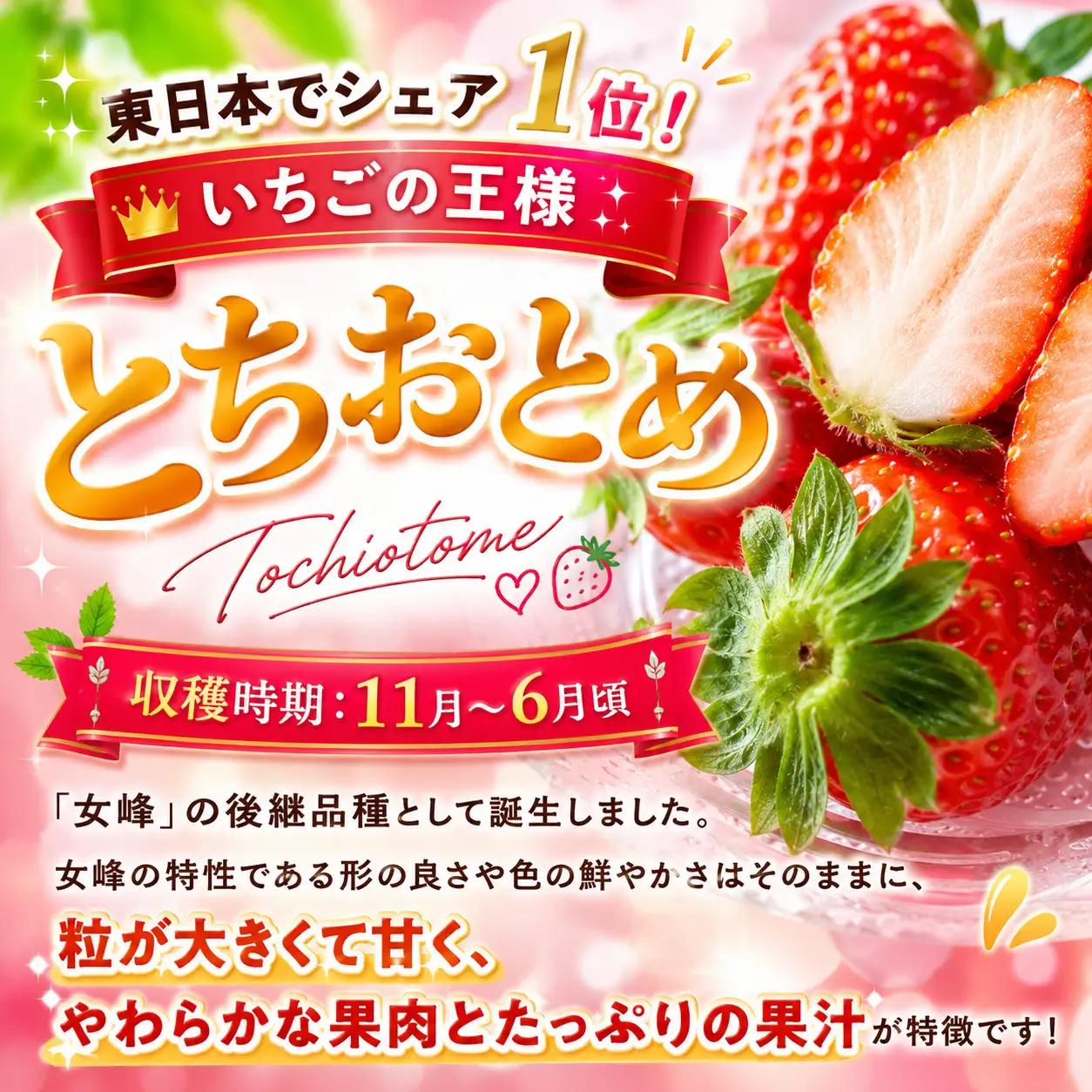 【先行予約】訳あり いちご とちおとめ 約 280g × 4P 栃木県共通返礼品