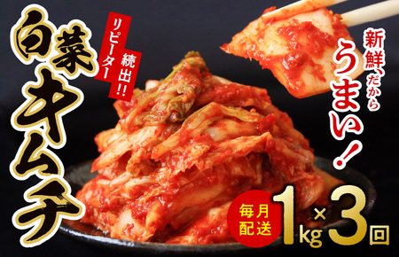 定期便 白菜キムチ 1kg × 3回【毎月配送コース 高評価 人気 惣菜 きむち 漬物 韓国グルメ おつまみ 家計応援 お楽しみ 福袋】