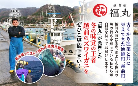 【訳あり】≪浜茹で≫指折れ 越前がに（中） × 2杯 【1月発送分】 食べ方しおり かにスプーン付き【雄 ズワイガニ ずわいがに 越前ガニ 姿 ボイル 冷蔵 福井県】希望日指定可 備考欄に希望日をご記