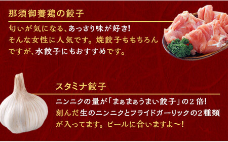 宇都宮餃子 那須御養鶏の餃子 20個 保存料不使用【 餃子 ぎょうざ 冷凍餃子 冷凍食品 惣菜 栃木県 宇都宮市 】※配送不可地域：離島