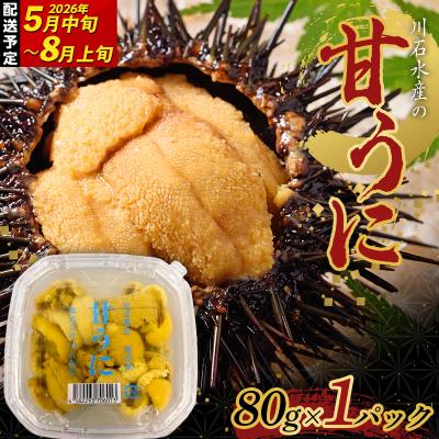 ふるさと納税 山田町 三陸山田 極上 甘うに 【先行予約】80g×1パック 令和8年5月中旬以降発送 雲丹 ウニ