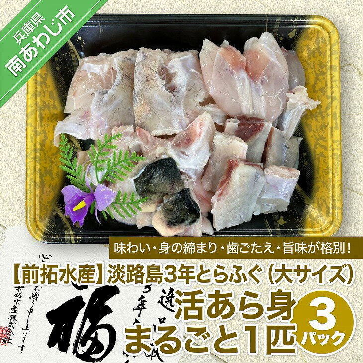 【ふるさと納税】【冷蔵】淡路島3年とらふぐ（大サイズ）活あら身まるごと1匹【3Pセット】◆配送10月25日～3月31日
