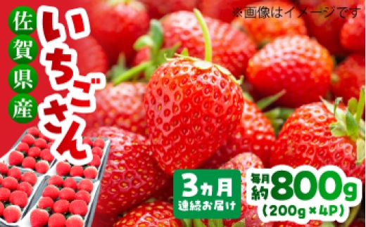 
                  【予約受付開始・1月-3月発送】【全3回定期便】いちごさん 約800g （約200g×4P）| いちご 苺 イチゴ 果物 フルーツ | 吉野ヶ里町/TZファーム[FDF002]
                