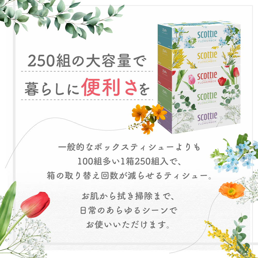 定期便 ティッシュ スコッティ フラワーボックス 40箱 ( 5箱 × 2パック )《 3ヶ月ごと 計  4 回》