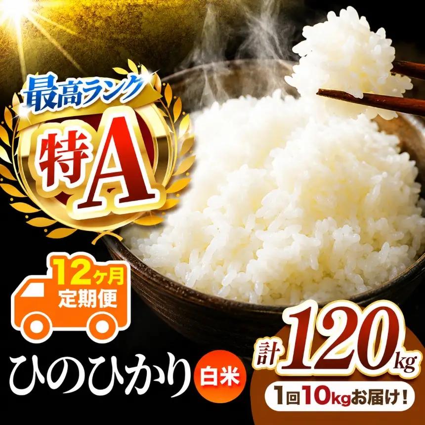 【 定期便 12回 】 R7年産 熊本県産 白米 ひのひかり 10kg