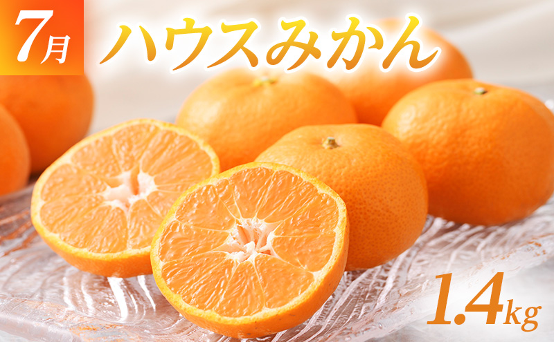 【2025年6月上旬より発送】浜松市の夏のフルーツ定期便 3回(6月~8月)クラウンメロン・ハウスみかん・マスクメロン