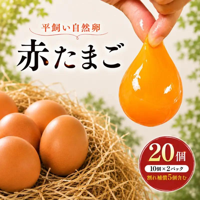卵 平飼い 自然卵 20個 割れ補償付き