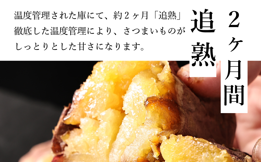 【先行予約】さつま芋　紅はるか　サイズ混合　5kg　│ さつまいも サツマイモ さつま芋 甘い ホクホク 焼き芋 焼芋 焼いも