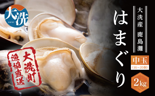 大洗産鹿島灘天然はまぐり 2kg 冷蔵 お吸い物 ハマグリ 蛤 貝 砂抜き処理 魚介類 大洗産 天然 はまぐり