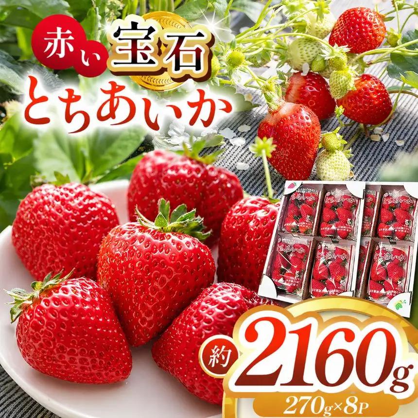 【2027年先行予約】真岡市産 赤い宝石「とちあいか」いちご 選べる 2160g (CN)