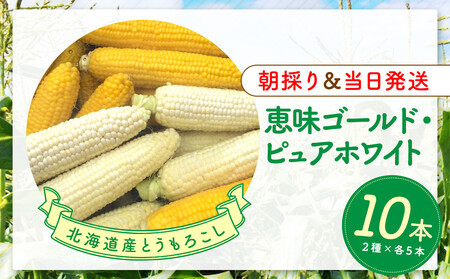 北海道産とうもろこし（恵味ゴールド5本・ピュアホワイト5本セット）