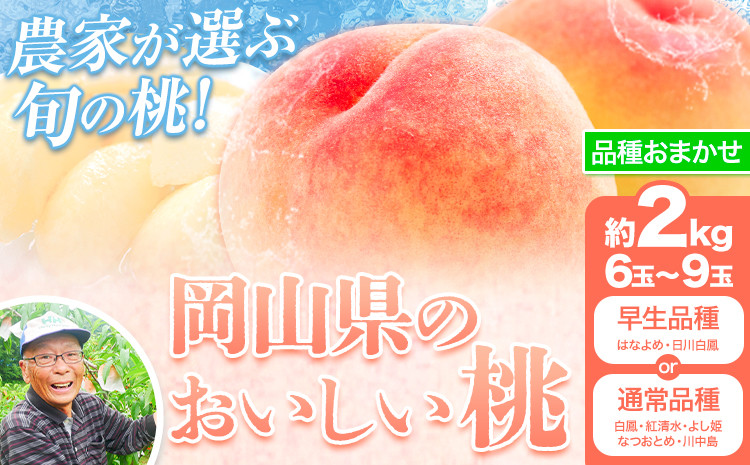 
            【6月中旬～7月上旬頃発送予定】【7月中旬～8月上旬頃発送予定】内容が選べる 桃 2kg もも 岡山 はなよめ 白川白鳳 白鳳 紅清水 よし姫 なつおとめ 川中島白桃 岡山県 笠岡市 送料無料 果物 フルーツ お取り寄せ
          