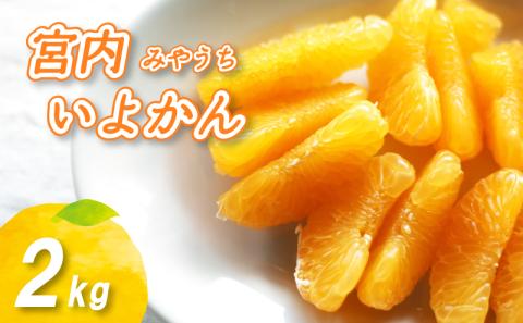 【2027年1月中旬頃から順次発送】 宮内いよかん 2kg 数量選択可 いよかん 伊予柑 みかん 数量限定 みかん 愛媛県産 みかん いよかん 伊予柑 松山市 みかん 中島 みかん いよかん 伊予柑 