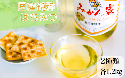 国産純粋はちみつ２種(みかん蜜、山蜜)各　1.2kg(A182-1)
