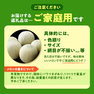 【2026年8月中旬発送】津軽産 青肉 メロン 約5kg ( 3~6玉 ) ご家庭用 品種おまかせ 【青森メロン】