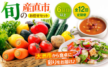野菜定期便【12回定期便】野菜定期便（6種以上）[AGAP017]