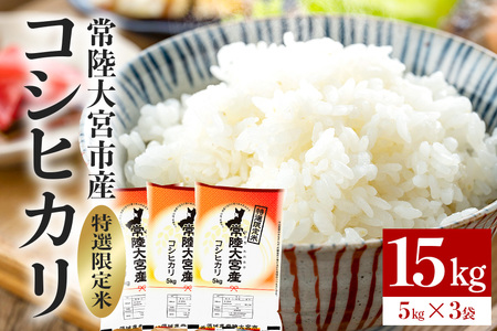 常陸大宮産 コシヒカリ 15kg(5kg×3) 特選限定米 こしひかり ブランド米 【一般財団法人常陸大宮市観光物産協会】【ho1398】