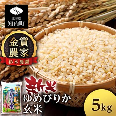ふるさと納税 知内町 【令和7年産新米先行受付】ゆめぴりか 玄米 5kg 《杉本農園》