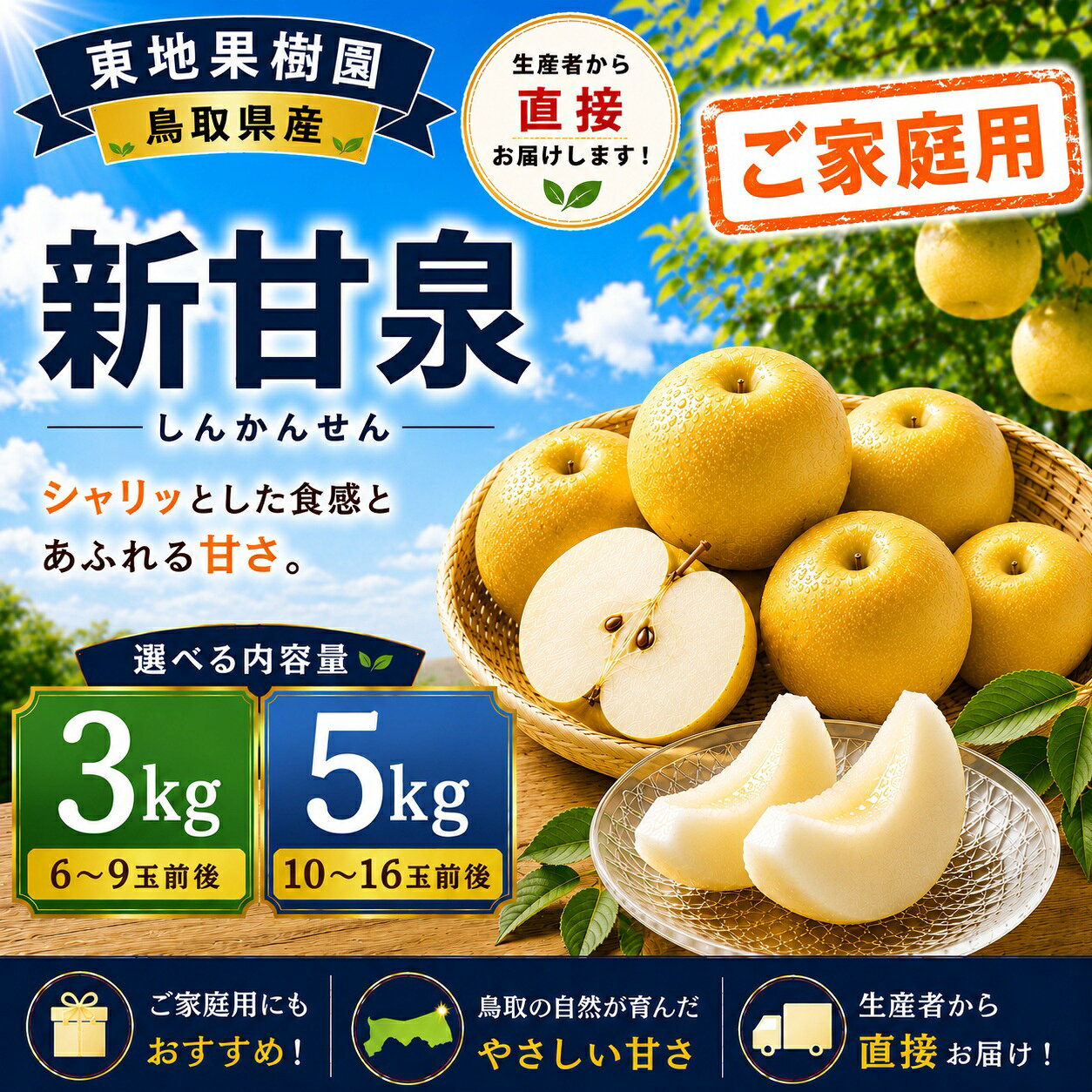 【ふるさと納税】【期間限定】梨 なし 新甘泉 ご家庭用 訳あり 3kg 5kg 鳥取県 湯梨浜 名産 しんかんせん 果物 フルーツ 特産品 ※8月下旬～9月上旬頃順次発送 選べる 内容量 オリジナル ブランド 先行予約 直送 新鮮 人気 定番 おすすめ 送料無料 東地果樹園