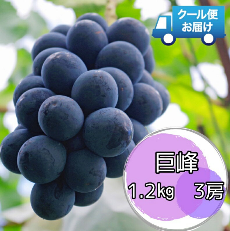 【ふるさと納税】 クール便で新鮮にお届け！　巨峰　1.2kg　3房 ふるさと納税 おすすめ 山梨県 南アルプス市 送料無料 ALPEG001