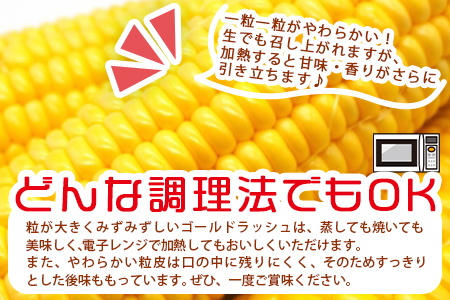 予約受付！＜朝採れ！国富町産ゴールドラッシュ4.5kg2Lサイズ13本＞2025年5月下旬～7月上旬迄に順次出荷【 とうもろこし スイートコーン 先行予約 野菜 穀物 甘い トウモロコシ 数量限定 】