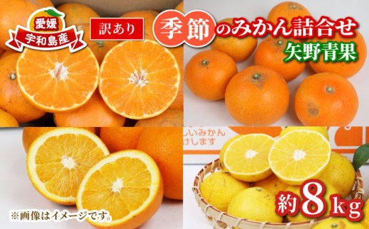 訳あり 季節 の みかん 詰合せ 約 8kg 矢野青果 フルーツ 詰め合わせ セット 柑橘 ミカン 蜜柑 mikan 果物 くだもの 愛媛みかん 愛媛蜜柑 濃厚みかん 産地直送 数量限定 国産 愛媛 宇和島 B010-171033