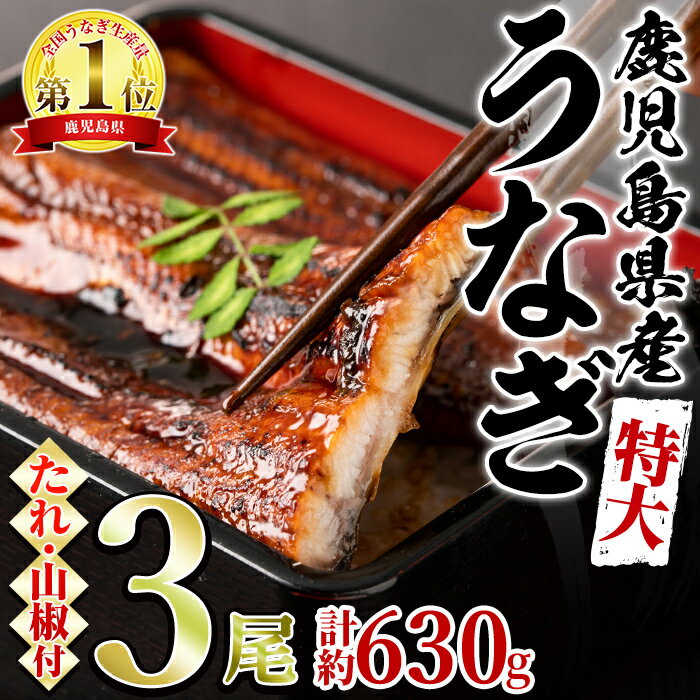 東串良町のうなぎ蒲焼(無頭)(3尾・計約630g・タレ、山椒付)うなぎ生産量日本一の鹿児島県！国産で安心！豊富な地下水で育った鰻の蒲焼き！【アクアおおすみ】