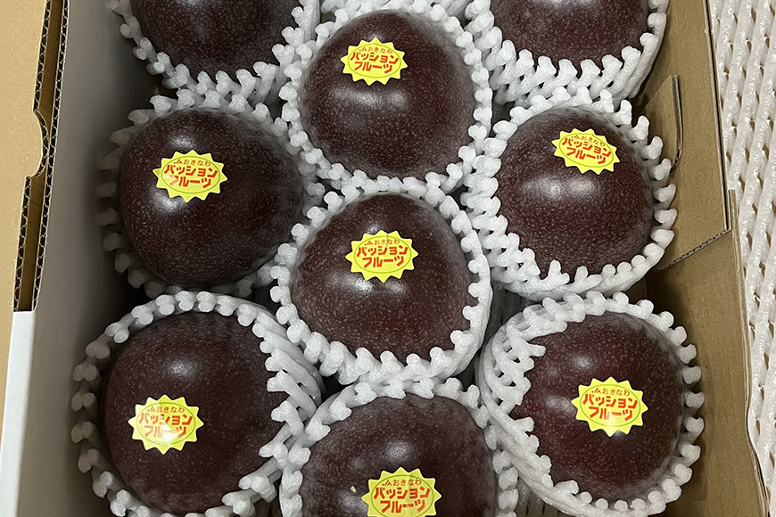 【2026年発送】JA糸満支店で厳選した「パッションフルーツ」家庭用　約1kg 5-7