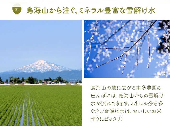 SB0739　11月中旬配送／令和7年産【玄米】特別栽培米 つや姫　5kg 農家直送 HO