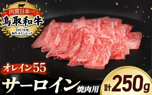 鳥取和牛 オレイン55 サーロイン焼肉用 国産 牛肉 和牛 サーロイン 焼肉 黒毛和牛