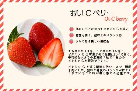【令和9年1月～4月発送！】北海道浦河町産いちご食べ比べ定期便(全3回)[13-1629]