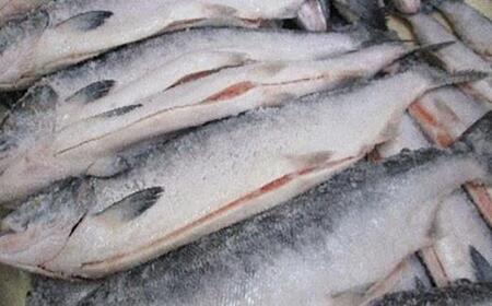 知床羅臼産　鮭　秋味切身セット330g×2パック 生産者 支援 応援