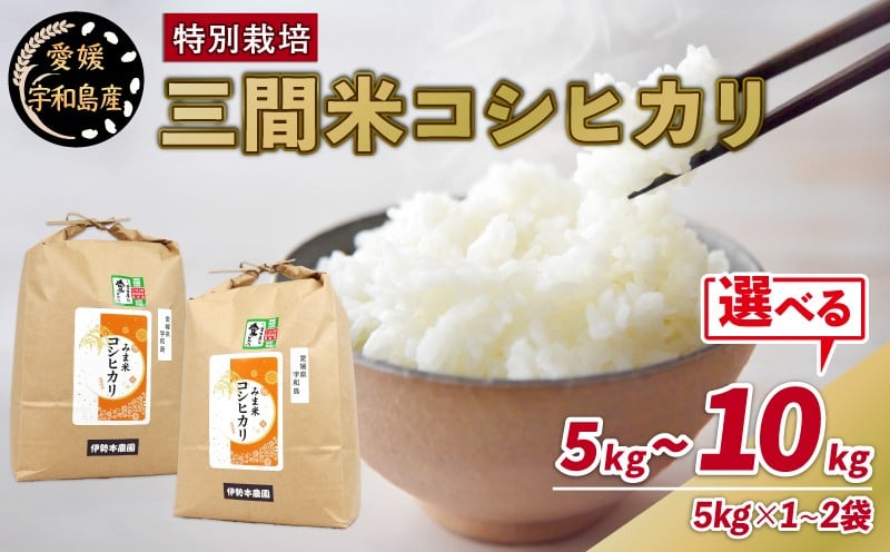 
            特別栽培米 三間米 コシヒカリ 選べる 計5kg~10㎏ (5㎏ ×1~2袋)  伊勢本農園 えらべる 特別栽培 米 お米 おこめ ごはん こめ コメ ※ kome 白米 精米 お弁当 ブランド米 ふっくら ツヤツヤ ライス 農家直送 産地直送 数量限定 国産 愛媛 宇和島 G015-146001~002
          
