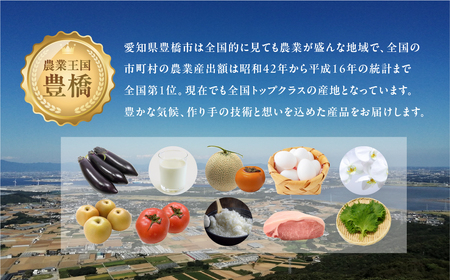 一流青果店厳選！フルーツ定期便 3回（梨・ぶどう・メロン）