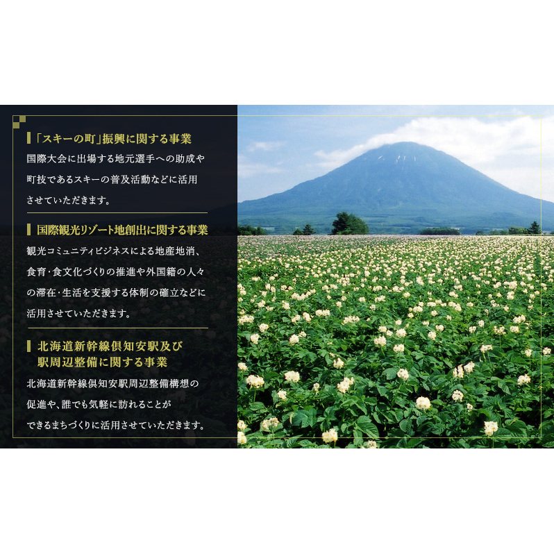 倶知安町 寄附のみの応援受付 75,000円コース（返礼品なし 寄附のみ 75000円）_イメージ4