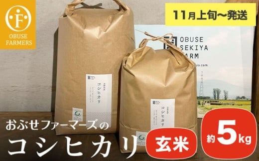コシヒカリ 玄米  約5kg ［ おぶせファーマーズ ］ お米 コメ おこめ ご飯 精米 長野県産 【2025年11月上旬～発送】 ［FK-13］