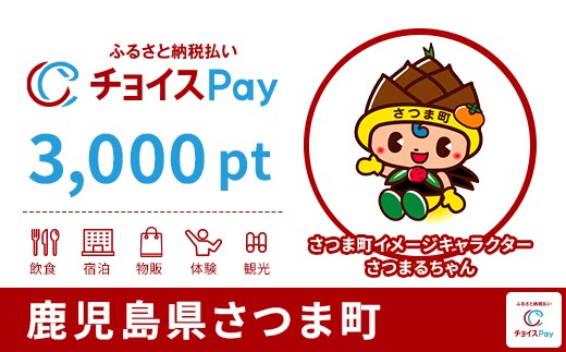 
            さつま町チョイスPay 3,000pt【会員限定のお礼の品】
          