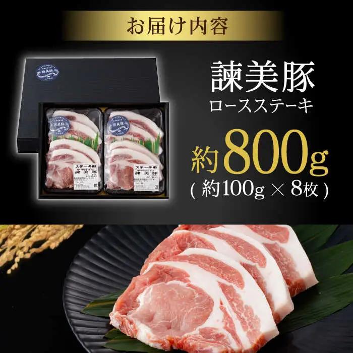 諫美豚ロースステーキ100g×8  AHAD045 豚ロース