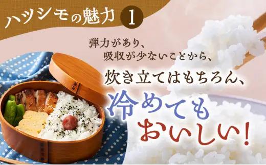 【定期便】令和7年産 岐阜県産 ハツシモ 10kg (3ヵ月連続お届け) 米 お米 コメ 白米 精米 ハシツモ 定期便 岐阜 瑞穂市