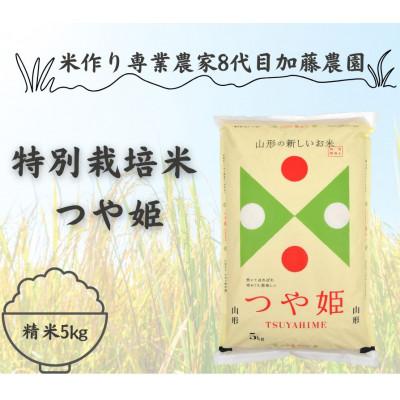 ふるさと納税 酒田市 農家直送　特別栽培米つや姫5kg　精米