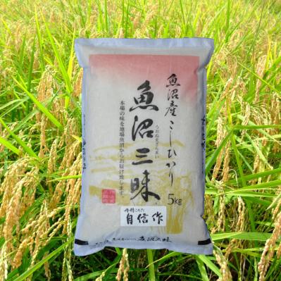 ふるさと納税 十日町市 【令和6年産】魚沼産コシヒカリ自信作　5kg