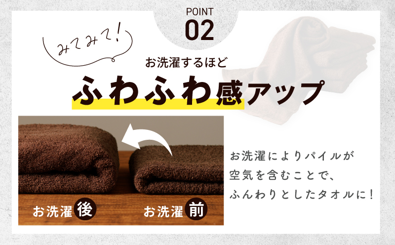 濃色カラー バスタオル 4枚（ブラウン）【泉州タオル 国産 吸水 普段使い シンプル 日用品 家族 ファミリー】 G1126_イメージ3
