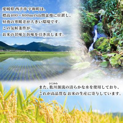 ふるさと納税 西予市 【先行受付】新米<令和8年産 愛媛県西予市産 コシヒカリ 10kg> お米 もとき農園 |  | 02